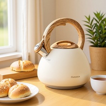 厂家明火烧水壶家用简约新款鸣音鸣笛茶壶不锈钢燃气炉通用批发