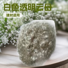 �ӹ��N���ĸƬ ��ɫ͸���ĸƬ  �ĸ��