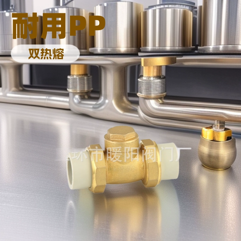 Латунь PPR союз обратный клапан, горизонтальный обратный клапан, односторонний клапан, обратный клапан, двойной горячего расплава 20 25 ....