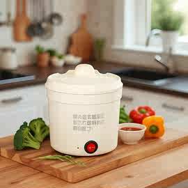 电煮锅多功能一体网红迷你家用不粘小电锅宿舍煮面小功率电锅110V