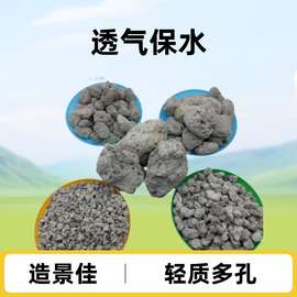 厂家批发轻石 园艺兰花种植铺面轻石水族鱼缸造景用大块浮石