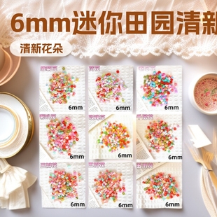 Popular Foreign Trade Resin Flower Nail Art Accessories 6mm Mini Pastoral Fresh Flowers DIY Nail Decoration Material Kit