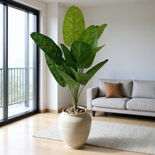 x˽BGֲfԴ̖24^҃ȿ͏dС辰