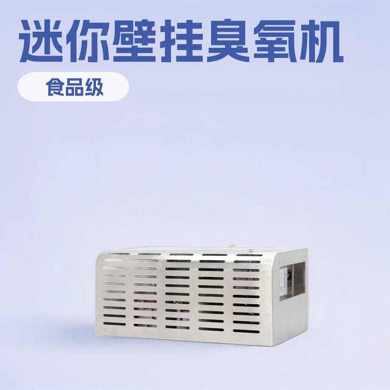 珍澳迷你壁挂臭氧发生器陶瓷片消毒机食品制药厂车间食品级