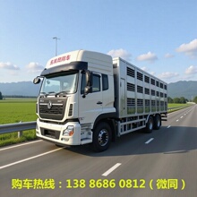 金昌市东风天龙全铝合金恒温雏禽运输车运猪保温冷藏车厂家价格