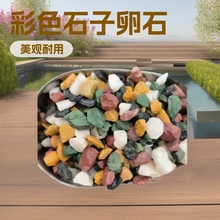 厂家供应彩色石子卵石庭院铺路园林景观枯山水鱼缸造景透水砖别墅