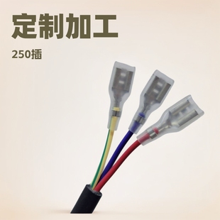 ����250���250���Ӿ��ӹ�6.3��܇����RVVܛ�o�׶��������B����