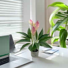 �����t�Ʒ���ֲ��һ���L혾Gֲ�쾰�ٻ����ԼҾ��҃��b[������