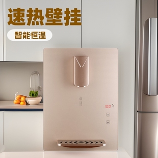 Pipeline machine household quick-heating wall-mounted hot and cold water dispenser household office embedded instant direct drinking machine
