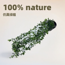 跨境亞馬遜人造仿真花綠植曼陀羅尤加利盆景豌豆莢懸掛盆栽