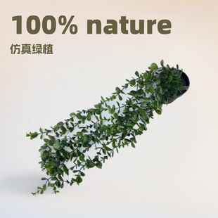 Cross-Border Amazon Artificial Artificial Flowers and Green Plants Mandala Eucalyptus Bonsai Pea Pod Hanging Potted Plants