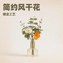 ins���WINS�L��ƿ�F�����s��ɫ�Fˇ�͏d�ҕ�������ɻ�ˮ���b�Ʒ