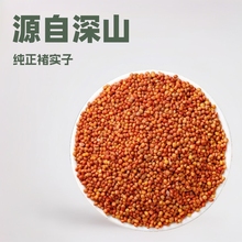 ���l��ș��������500g ��Ʒ������ �Ҍ�����؛�o�s�|�����a��ֱ��