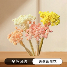 �����ɻ�Сɽ��DIY�ֹ������滨�Y�������Ȼ�������b�ƿ�[��