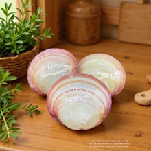 Դ�^���S �p��۸� ���yƯ�� ��Ȼ��ؐ�� ���к���Ȼؐ���������l