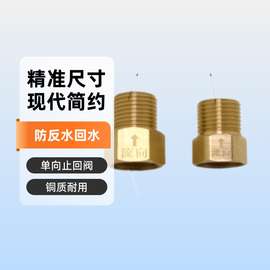 单向止回阀卫生间水管马桶防反水回水水表逆止阀热水器4分止逆阀