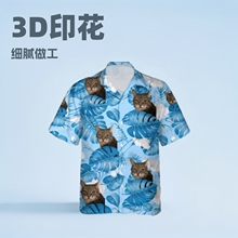 �羳����ѷ�¿����ʱ�г�������3D�������ӡ�����¶� ���п���