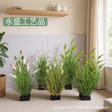 ����Gֲ��β�͡���β�Ͳ������JȔ�ݷ��滨�͏d�Ƶ�Gֲ�b��쾰