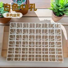 白色48孔多肉植物塑料花盆托架多肉小黑方育苗托盘多肉植物花盆托
