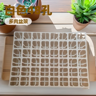 White 48-Hole Succulent Plastic Flower Pot Bracket Succulent Small Black Square Seedling Tray Succulent Plant Flower Pot Bracket