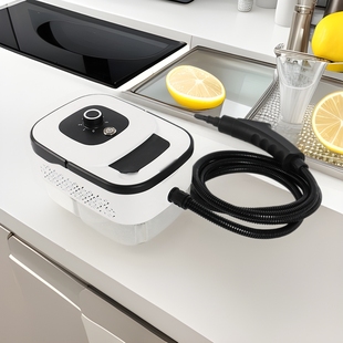 Household Range Hood Oil Removal Artifact Portable High-Power Steam Cleaning Machine Small High-Temperature and Efficient Sterilization and Disinfection