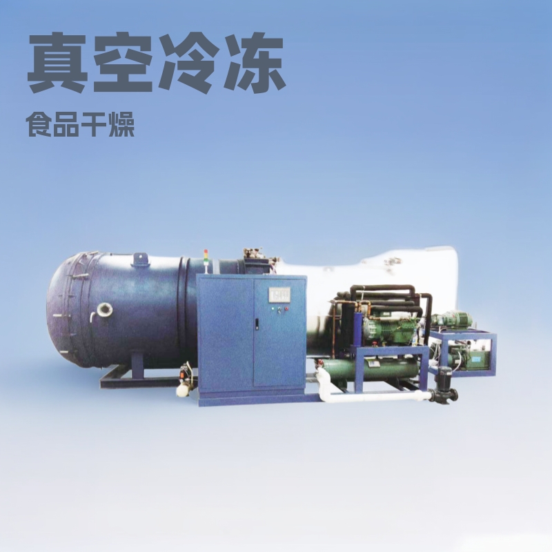 厂家直销真空综合果蔬冻干机食品冷冻干燥设备