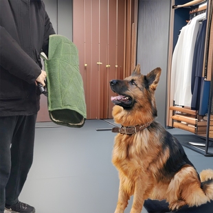 Medium and Large Dog Training Supplies Canvas Anti-bite Sleeve Protection Upper Arm Large Sleeve Bite Target Training Dog Equipment