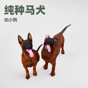 �RȮ��Ȯ���N�pѪ�y���t���tɫ����С����Ȯ�������o��ĿȮС�RȮ