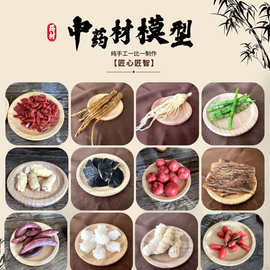 教材药材模型陈列调味品医学院校教具标本模型仿真中药材中医科谱
