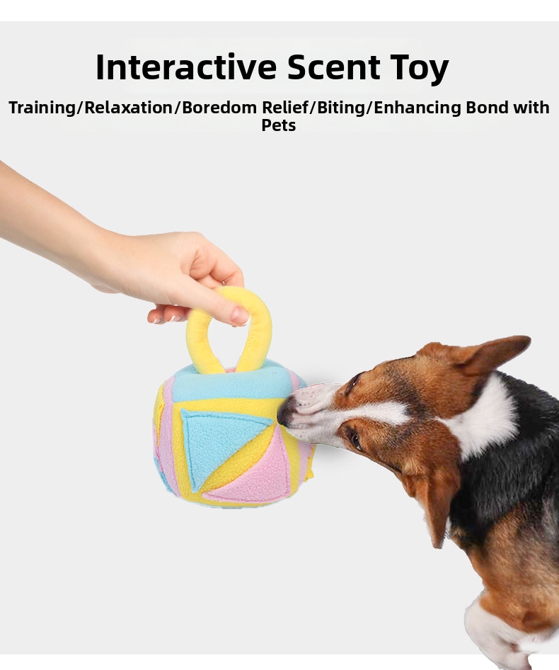 Pet Dog Scenting Mat Educational Toy For Anti Choking Training_voghion.com
