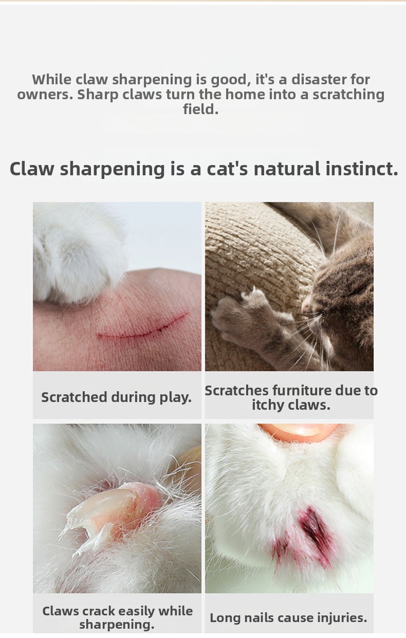 Rundes Katzenkratzmöbel Mit Spielschiene Für Katzen Und Kater_voghion.com