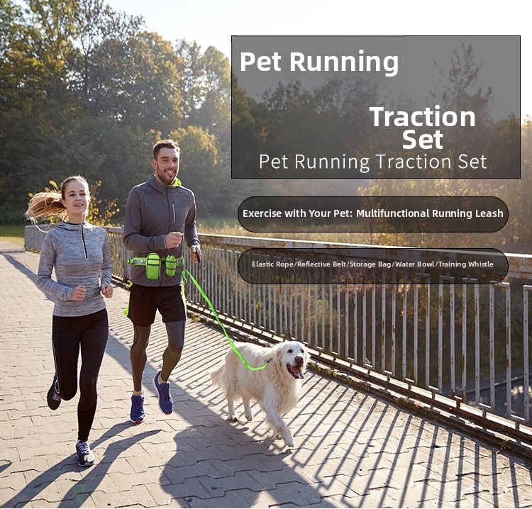 Dog Pet Exercise Kit With Reflective Leash And Training Bag For Large Dogs_voghion.com