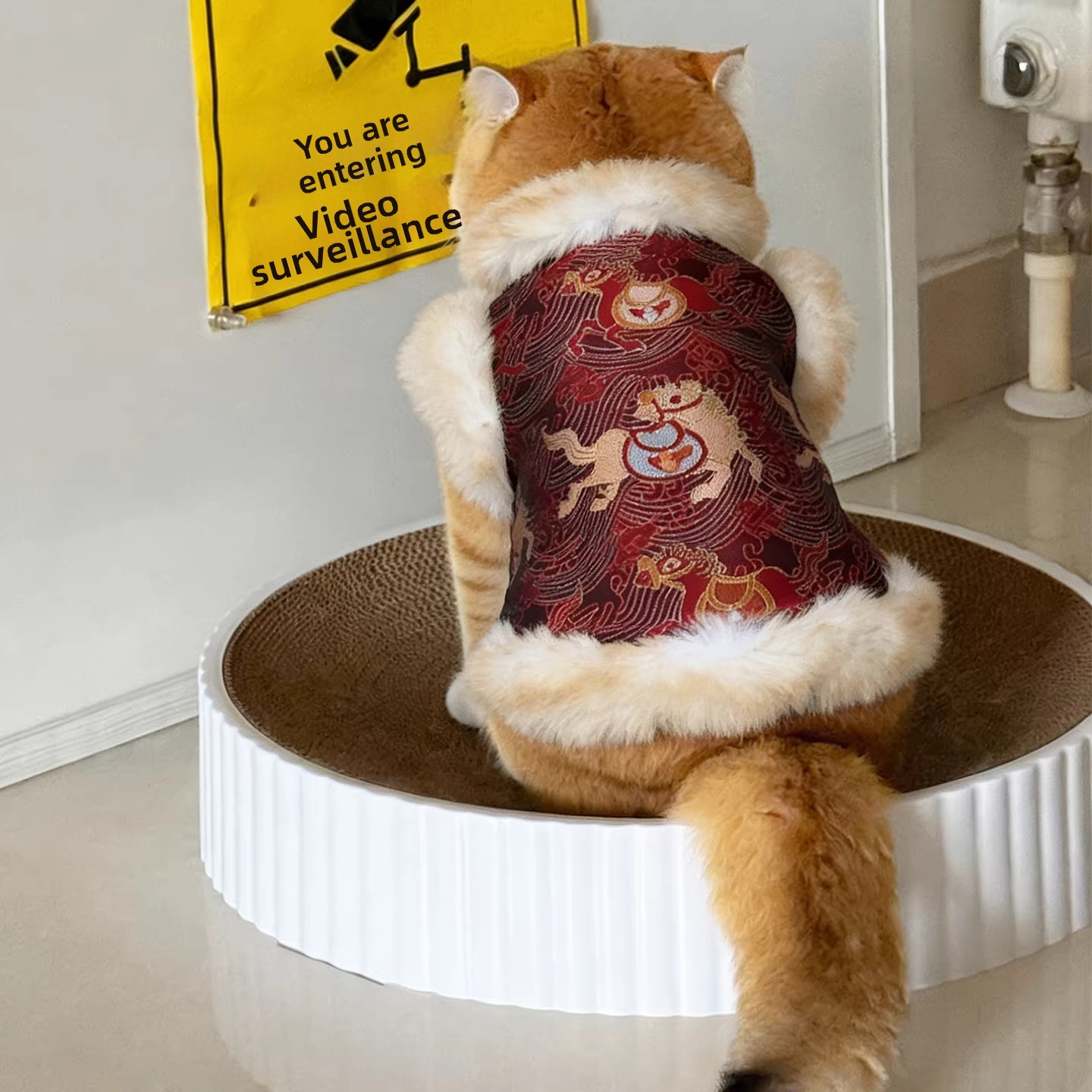 Veste style chinois pour chien et chat tenue traditionnelle_voghion.com