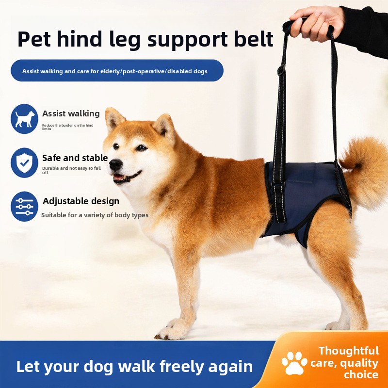 Cinto de suporte para patas traseiras de cães idosos_voghion.com