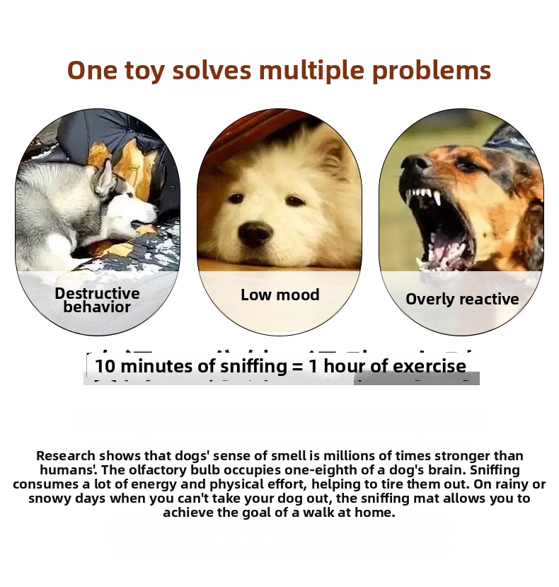 Hundeschnüffelmatte Und Intelligenzspielzeug Für Hunde_voghion.com