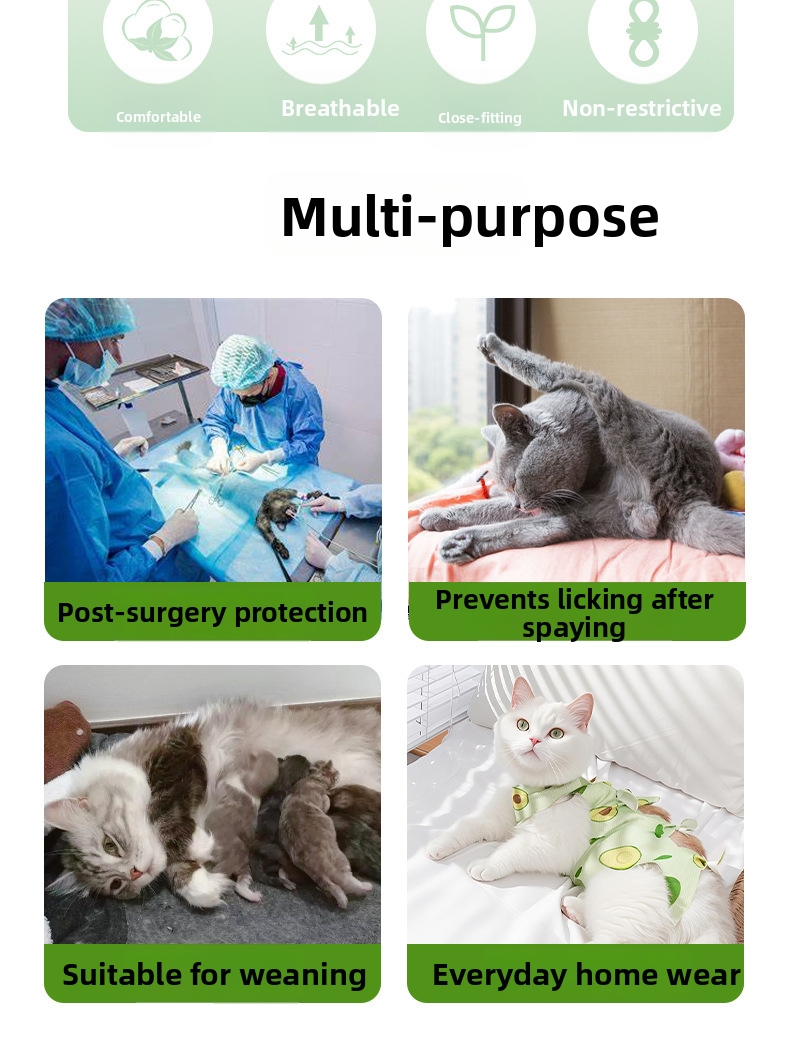 Combinaison de protection pour chat post-opératoire respirante_voghion.com