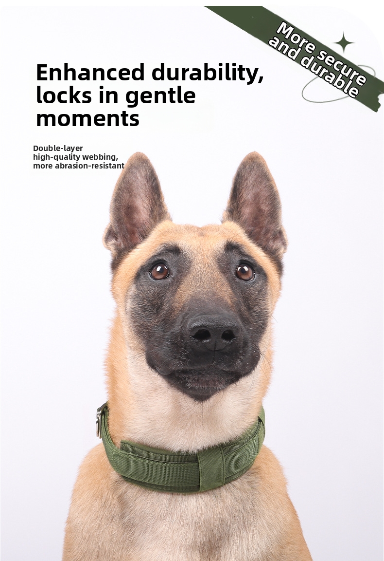 Adjustable Nylon Dog Collar For Medium And Large Breed Dogs_voghion.com