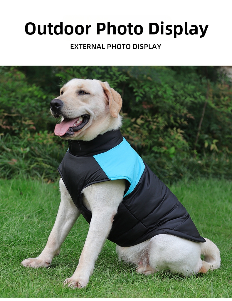 Chaqueta de invierno para perro chaleco cálido cortavientos_voghion.com