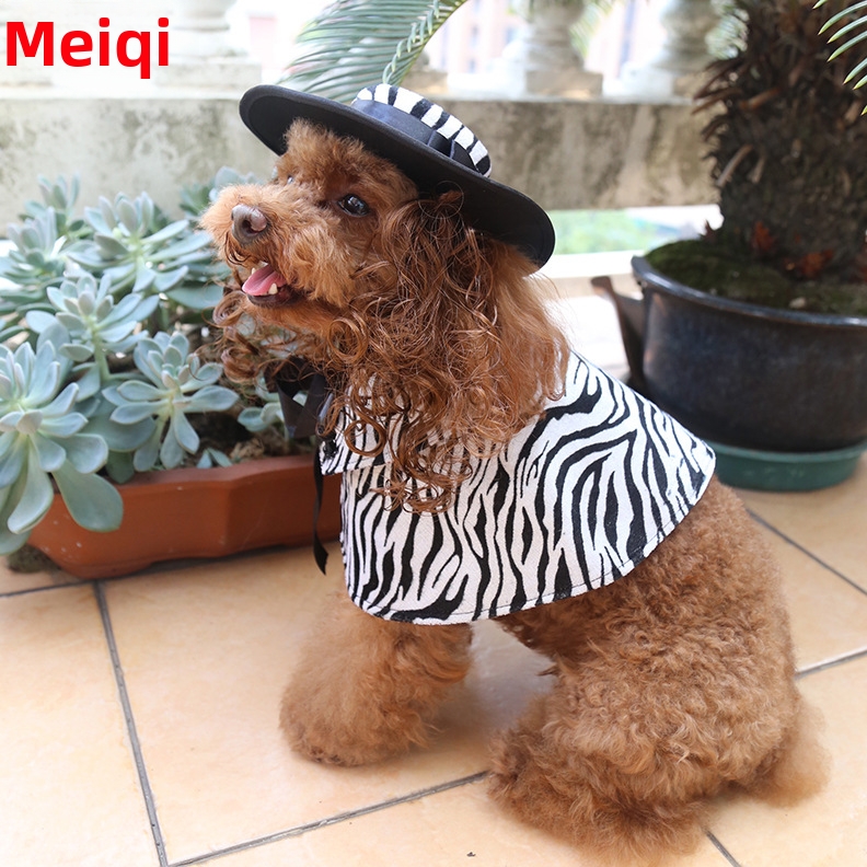 Déguisement d'Halloween pour chien avec chapeau et cape - Tenue amusante et mignonne pour chiot - Vêtements pour animaux de compagnie_voghion.com