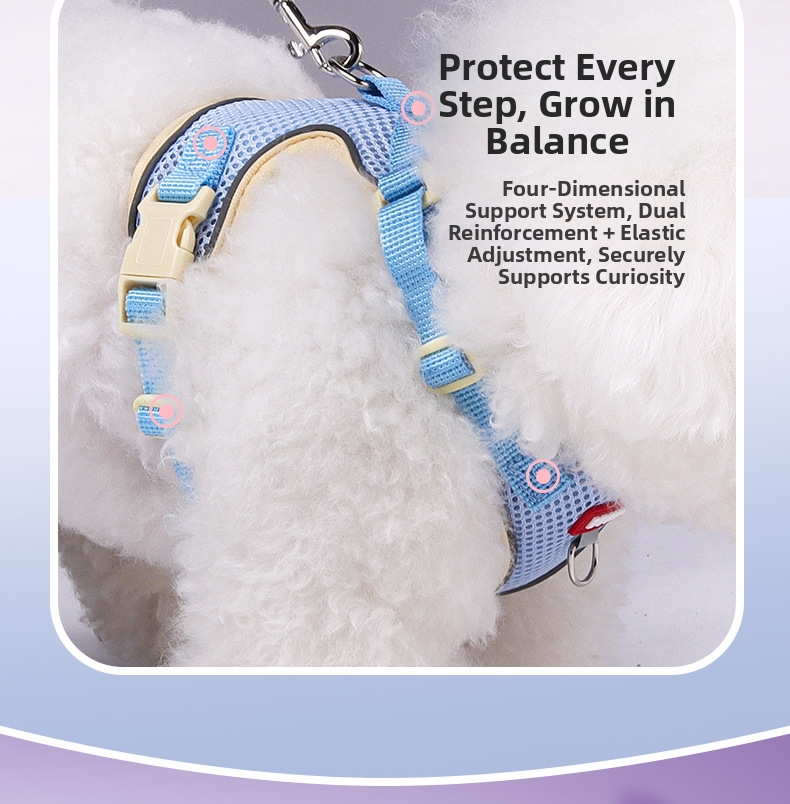 Reflective Breathable Pet Harness And Leash Set For Dogs And Cats_voghion.com