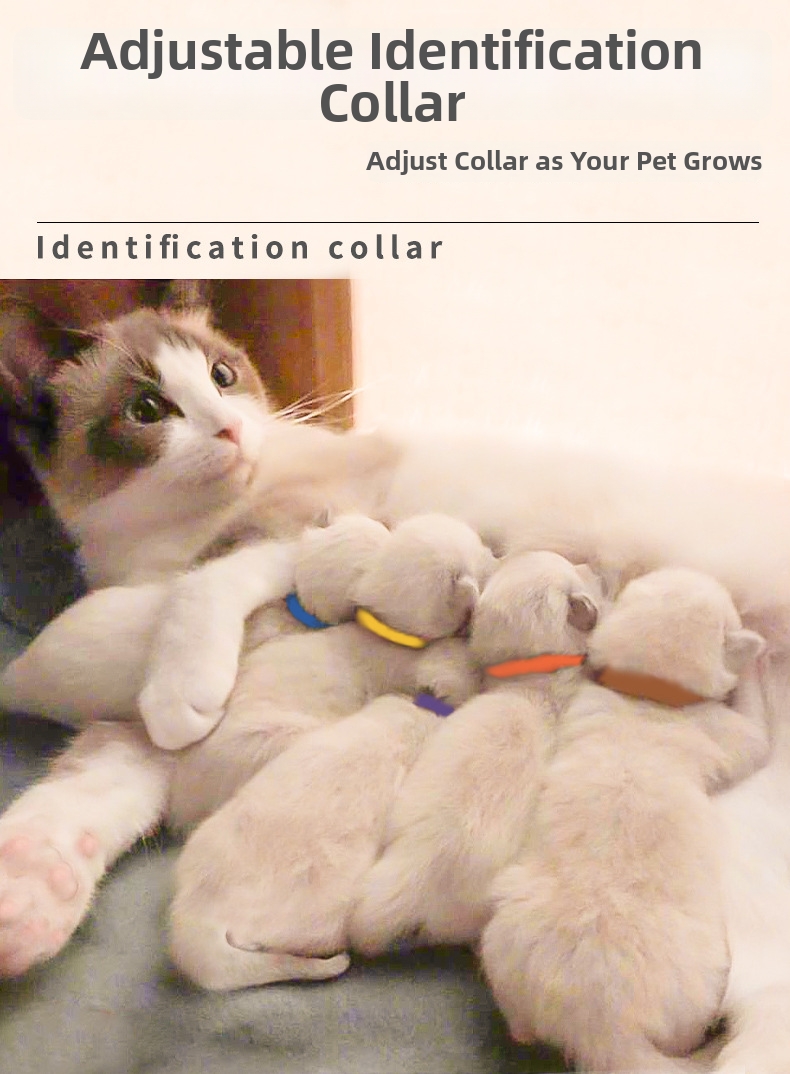 Pet Identification Collars For Kittens And Puppies Marker Rings_voghion.com
