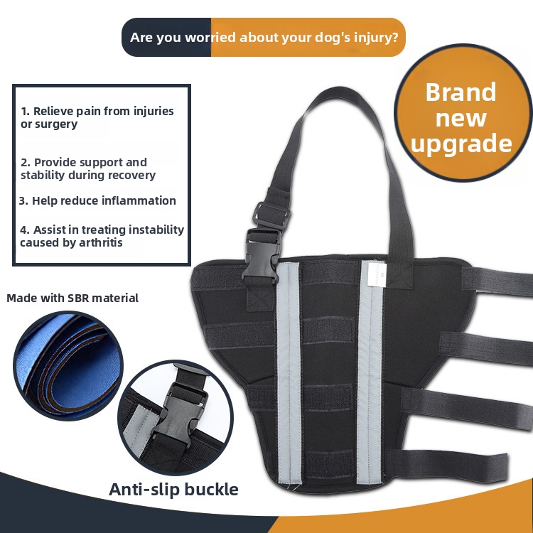 Dog Supplies Post Operative Leg Protection Walking Aids Fixation And Support Knee Braces For Dogs_voghion.com