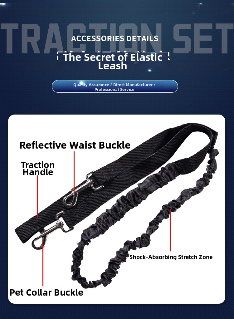 Dog Pet Exercise Kit With Reflective Leash And Training Bag For Large Dogs_voghion.com