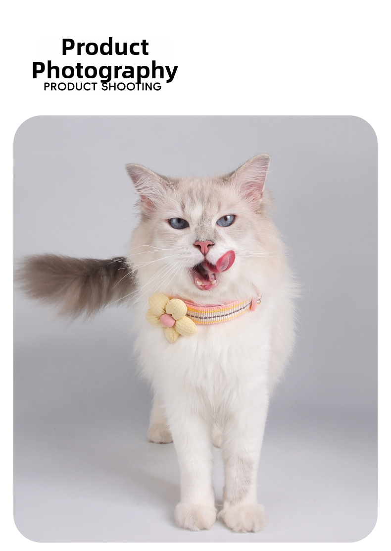 Collier pour chat anti-fugue réglable et réfléchissant_voghion.com