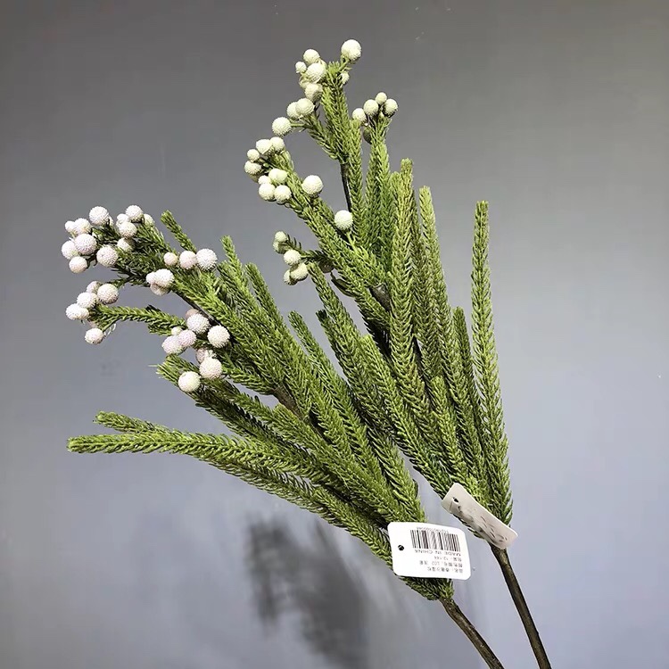 Simulated Sand Algae Pine, Coral Fruit, South African Flower Materials, Dried Fruit Materials, Flower Arrangement Accessories