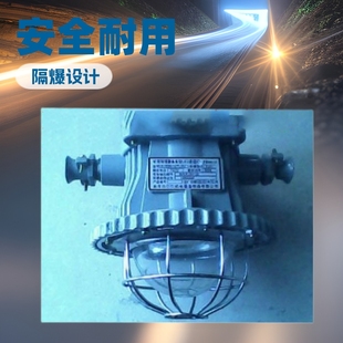 DGS36/127L(A) Mine Flameproof Tunnel Lamp Safe and Durable Mine Lamp Tunnel Lamp Explosion-proof Lamps