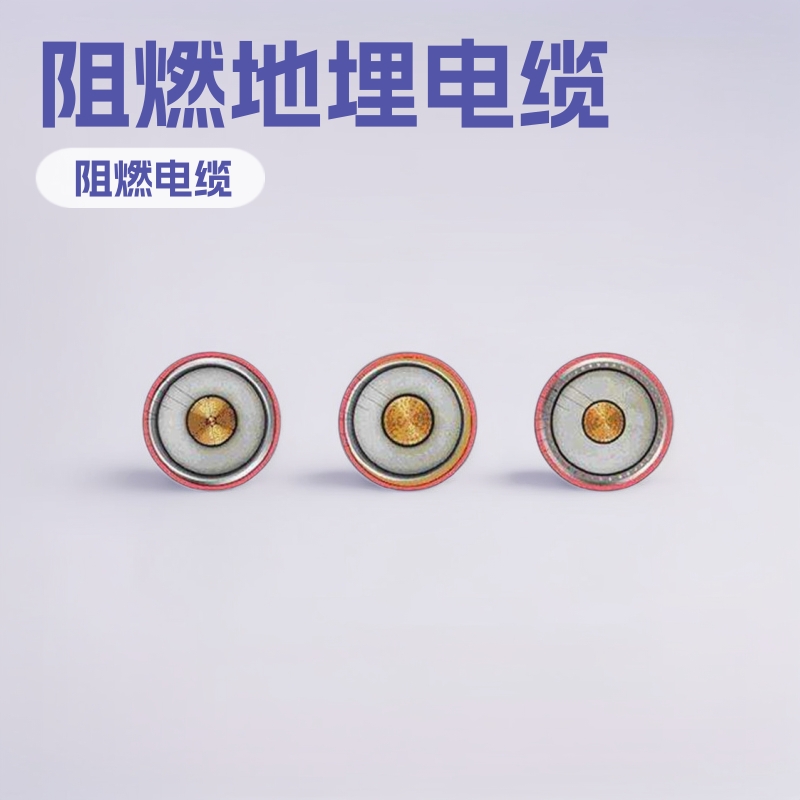 阻燃电缆ZR-YJLW02-Z 64/110-1x500（图）