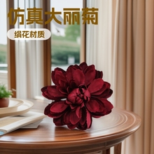 ٻ滨[ÿ͏db̎YƷƷջ