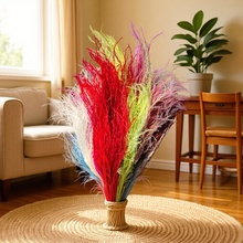 龙须草干花永生花束花材材料装饰倒挂软装婚礼婚庆会场布置装彩色