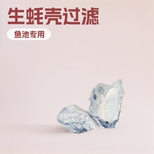 生蚝壳过滤1.6元/斤起批鱼池水族专用细菌屋